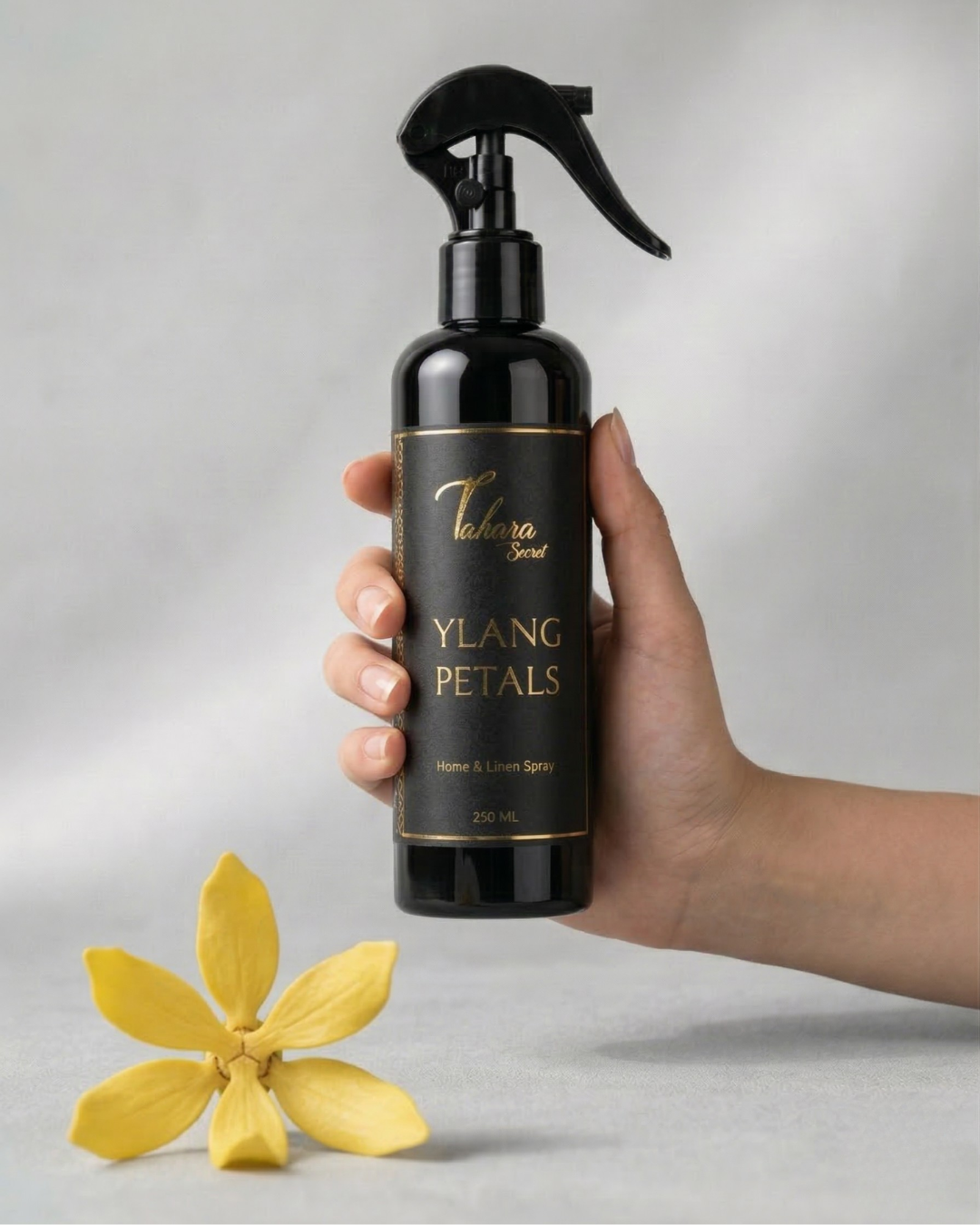 Pack Home Spray - PROMO